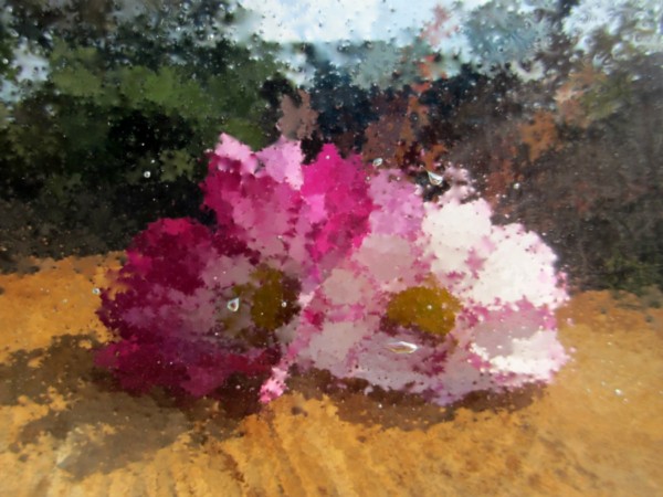 Natur gefiltert