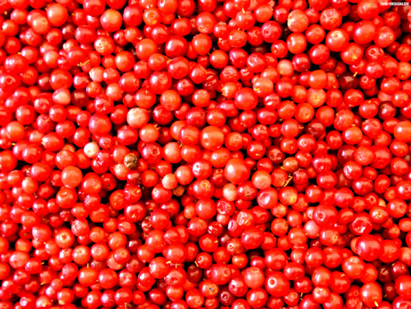 Preiselbeeren