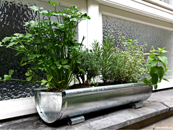 Dachrinnenvorgarten – rain pipe front garden