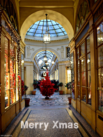Frohe Weihnachten – Merry Christmas
