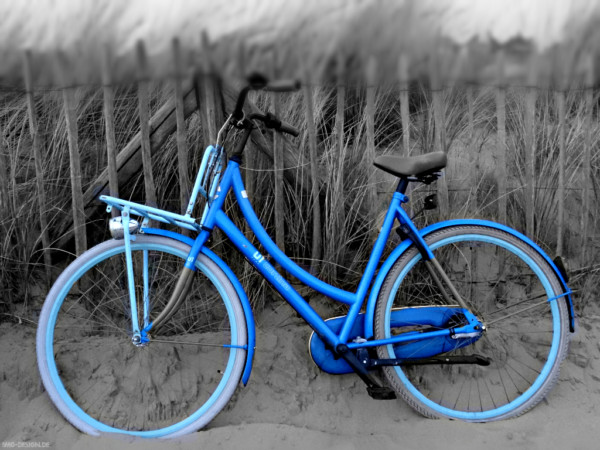 Blue Bike