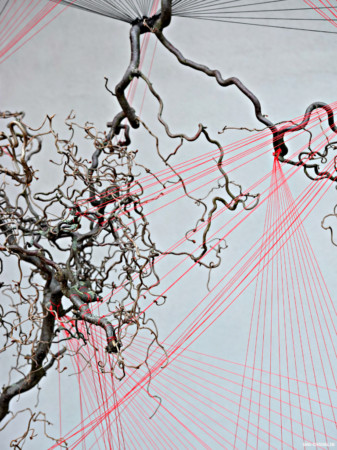 3D Installation