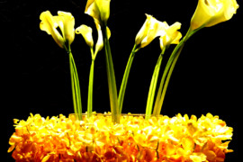 Blumendesign